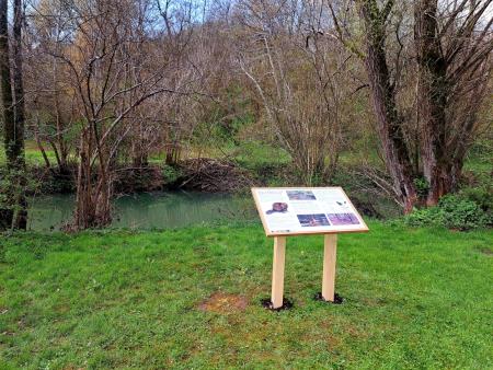 20250402 Tabla bober Radulja 1 www